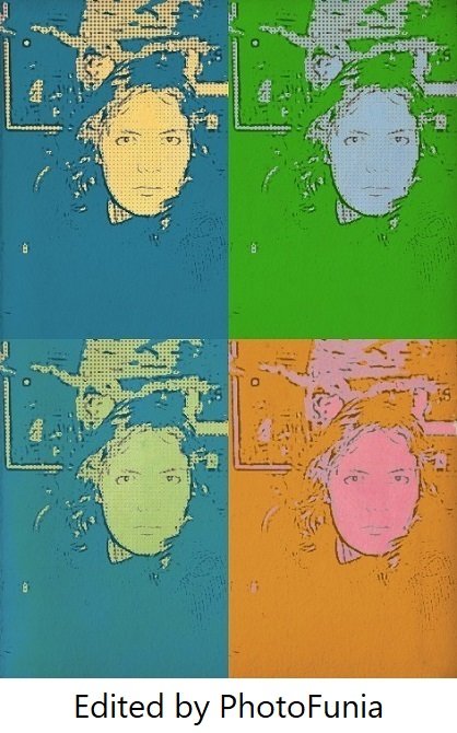 Andy Warhol Style